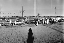 1976