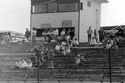 1981