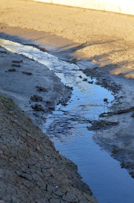 2015 XX A RIVER RUNS THROUGH IT 612.jpg