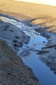 2015 XX A RIVER RUNS THROUGH IT 612.jpg