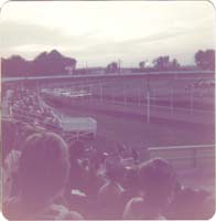 1975d