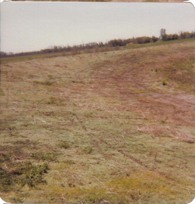 1978