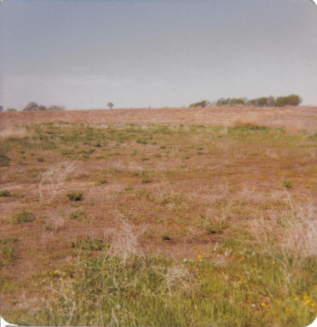 1978