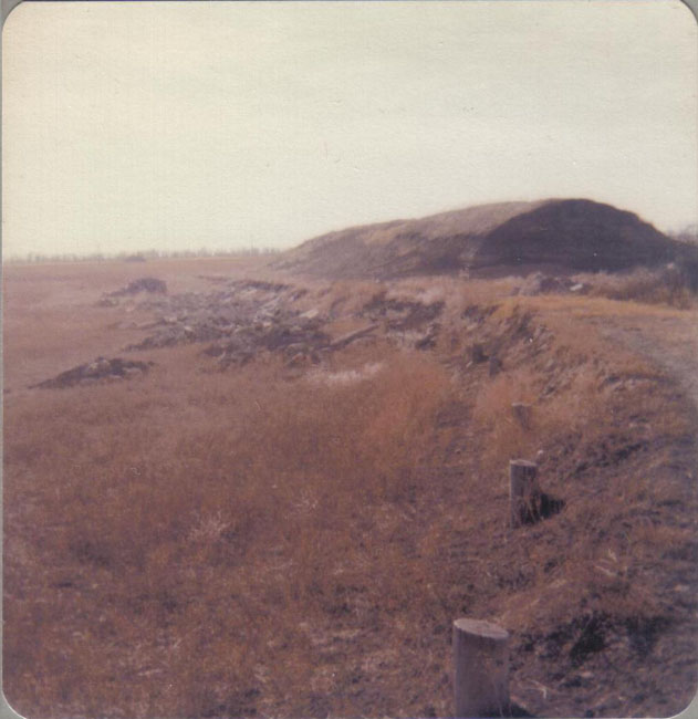 1978
