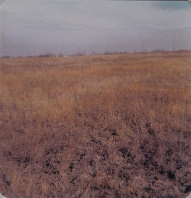 1978