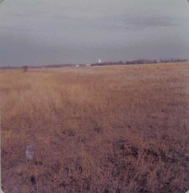 1978
