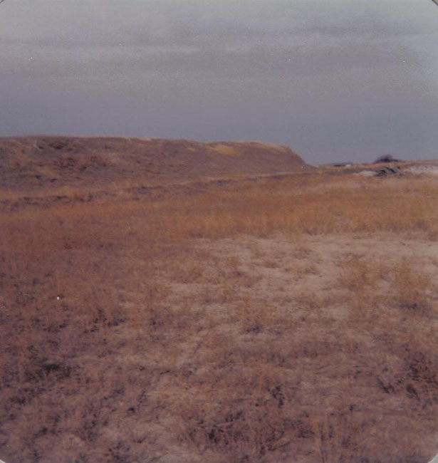 1978