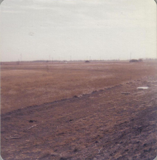 1978