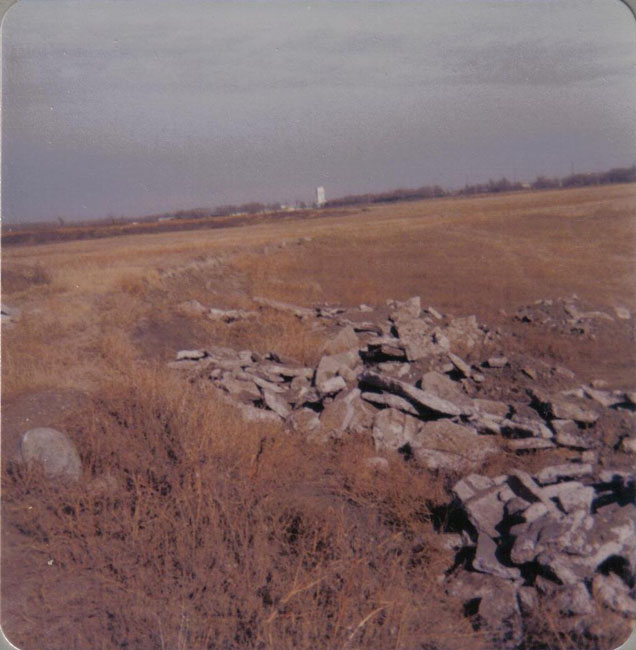1978