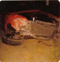 1978