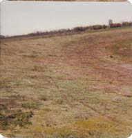 1978