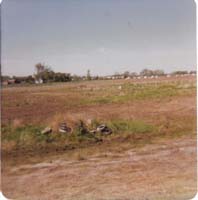 1978