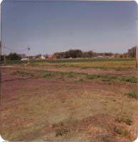 1978