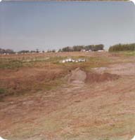 1978