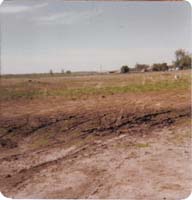 1978