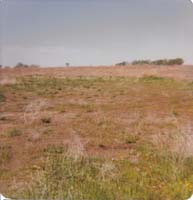 1978