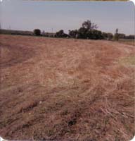 1978