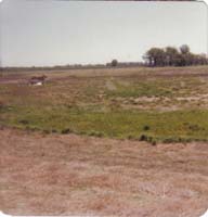 1978