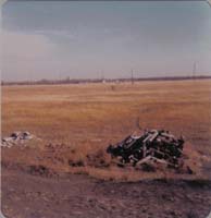 1978