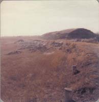 1978