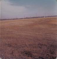 1978