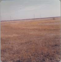 1978