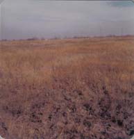 1978