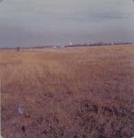 1978