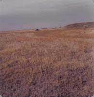 1978
