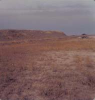 1978
