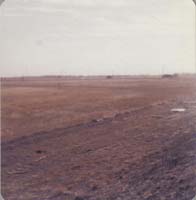 1978