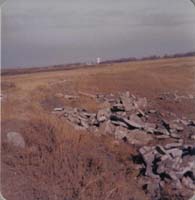 1978