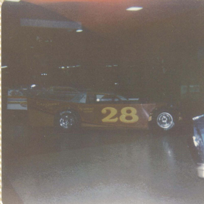 DALE