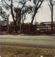 1980
