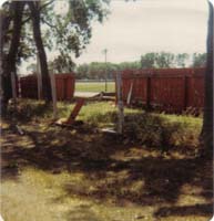 1980