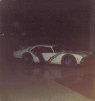 1981