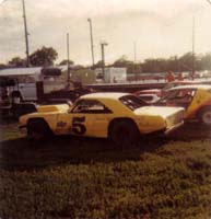 1981