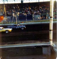 1981