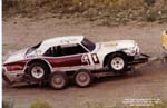1981