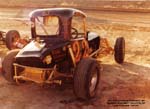 1981