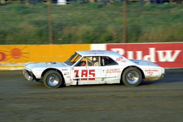 1981