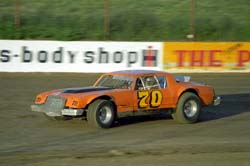 1981