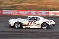 1981