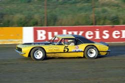 1981